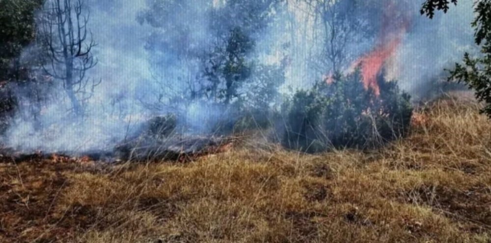 Elektrik Direğine Düşen Yıldırım Anız Yangınına Neden Oldu