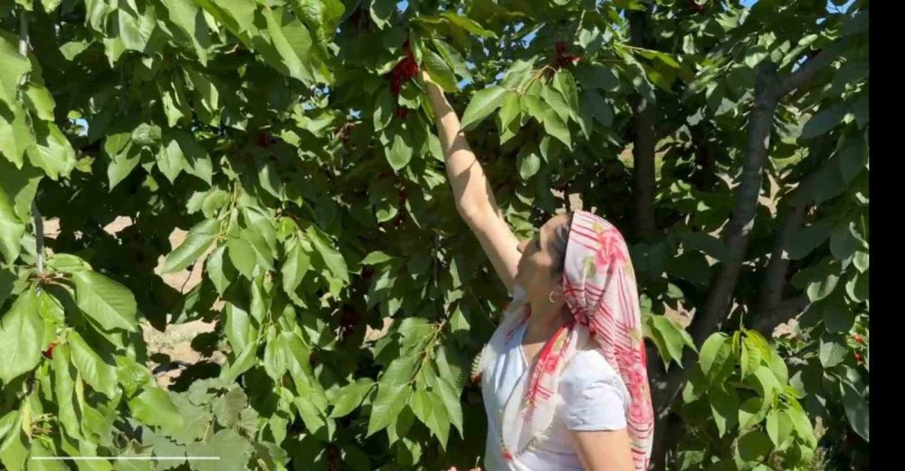 Evinde Anne, Tarlada Çiftçi, Mağazada Patron