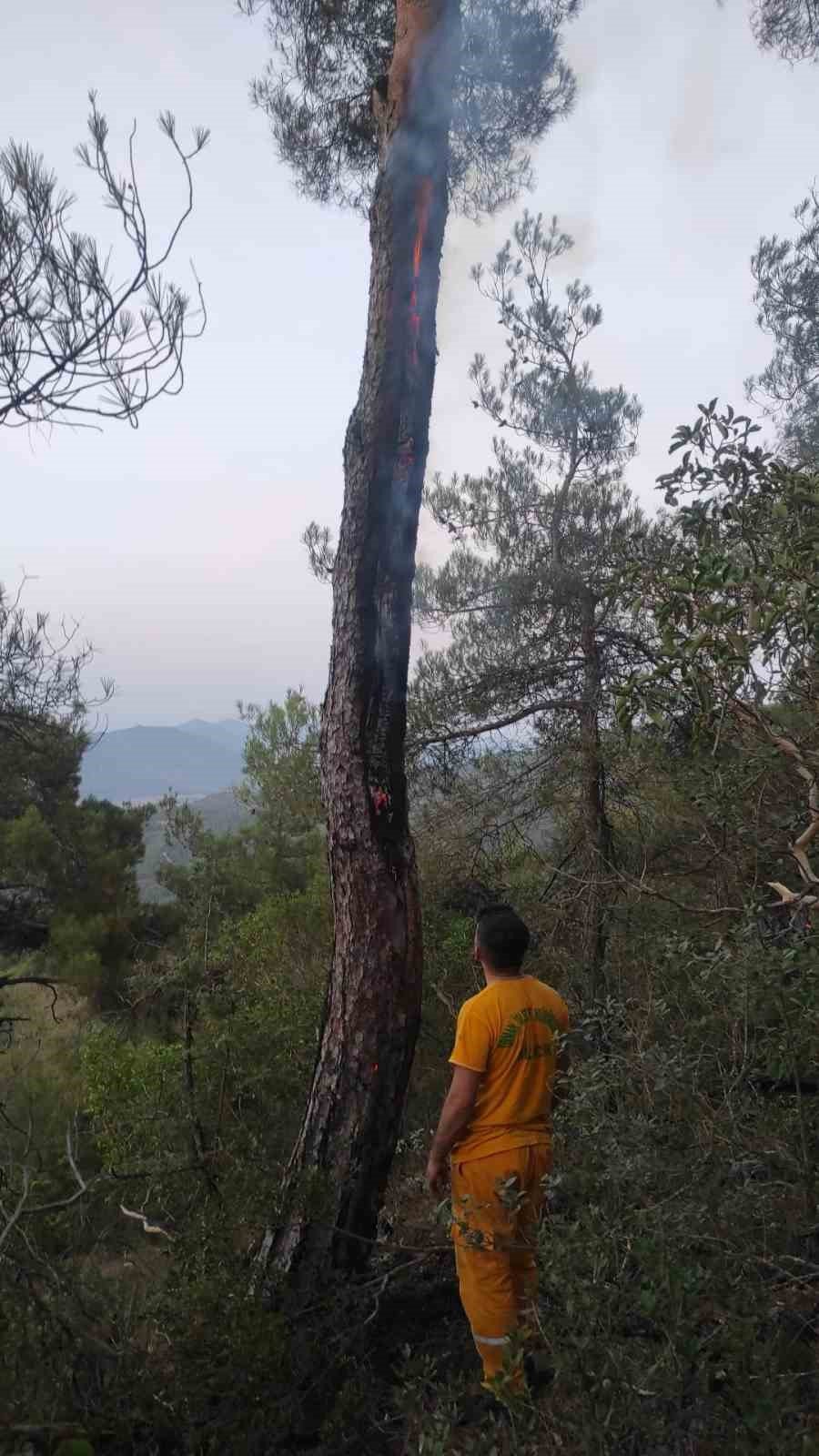 Yıldırımın Neden Olduğu Yangın Kısa Sürede Söndürüldü