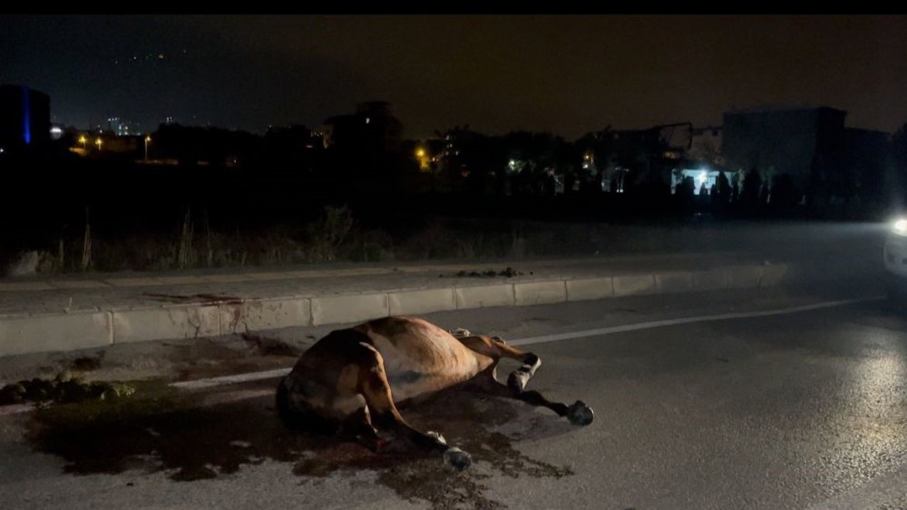 Başıboş Ata Çarpıp Kaçtı, Arkasına Bile Bakmadı