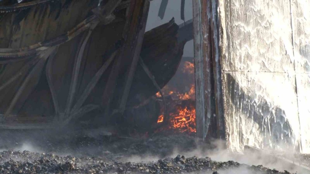 Kereste Fabrikasındaki Yangın İş Yerlerine Sıçradı