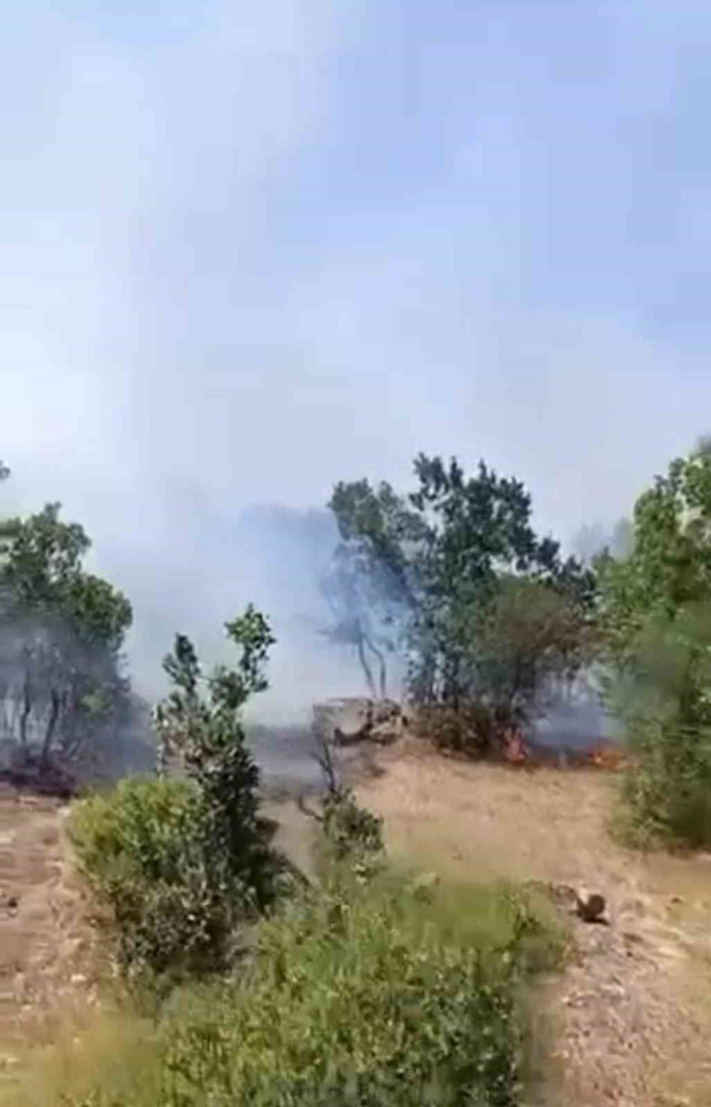 Orman Yangını Çıktı, Havadan Ve Karadan Müdahaleler Başladı