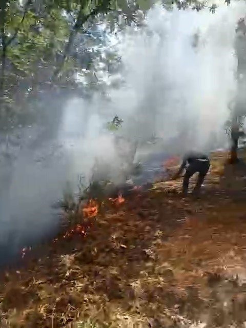 Orman Yangını Çıktı, Havadan Ve Karadan Müdahaleler Başladı