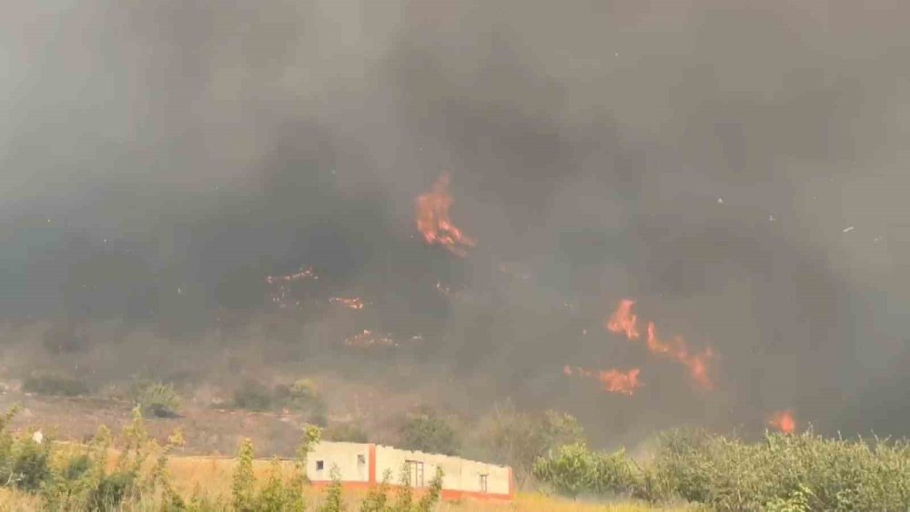 Orman Yangını Korkuttu