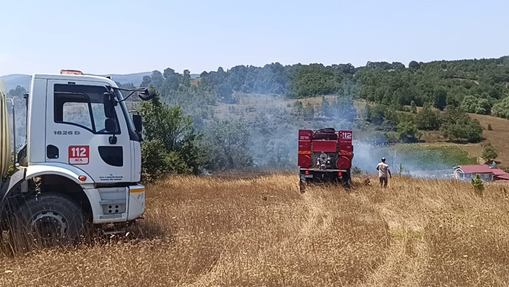 Bilecik'te Ot Yangını