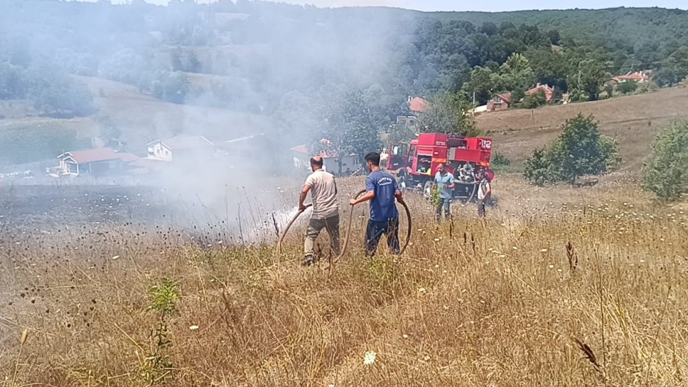 Bilecik'te Ot Yangını