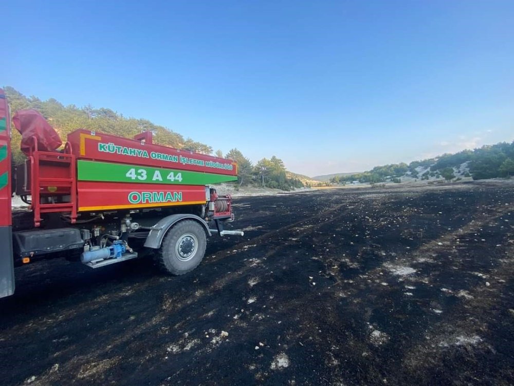 Tarla Sahibinin Gösterdiği Hassasiyet Orman Yangınını Önledi