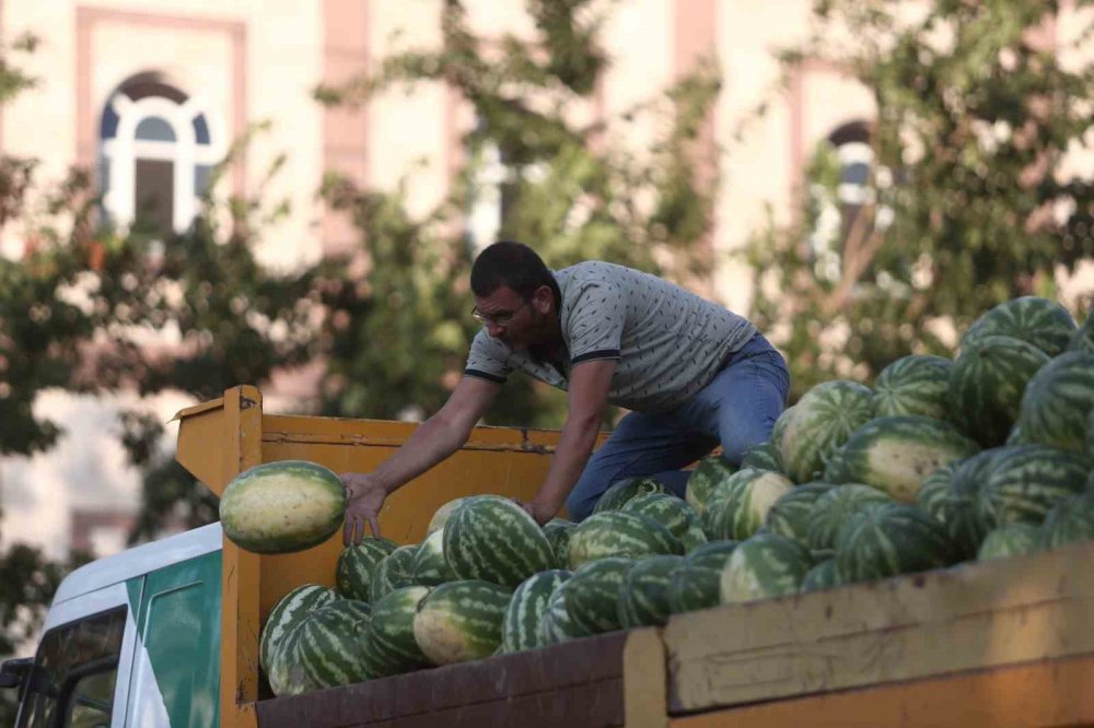 Tarlada Kalan Karpuz, Vatandaşlara Ücretsiz Dağıtıldı