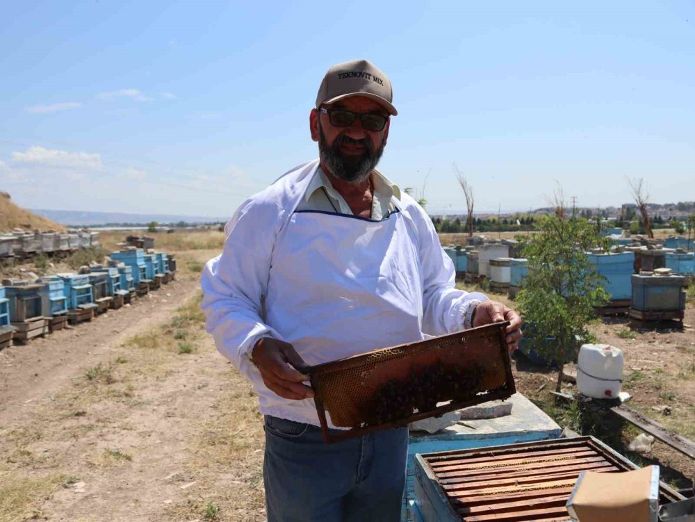 Eskişehirli Arıcılar Daha Fazla Destek Bekliyor