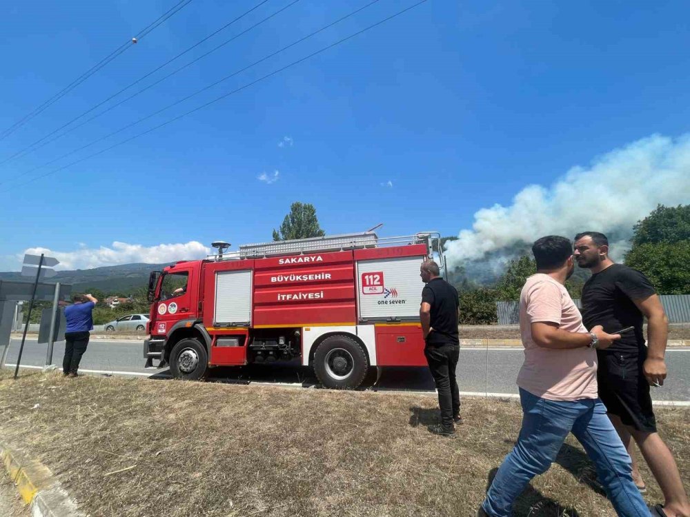 Ormanlık Alanda Yangın!