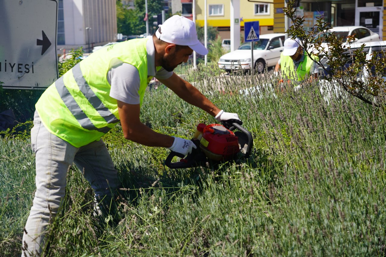 bilecik-belediye-baskani-melek-mizrak-subasi-acikladi-strese-girdi-002.jpeg