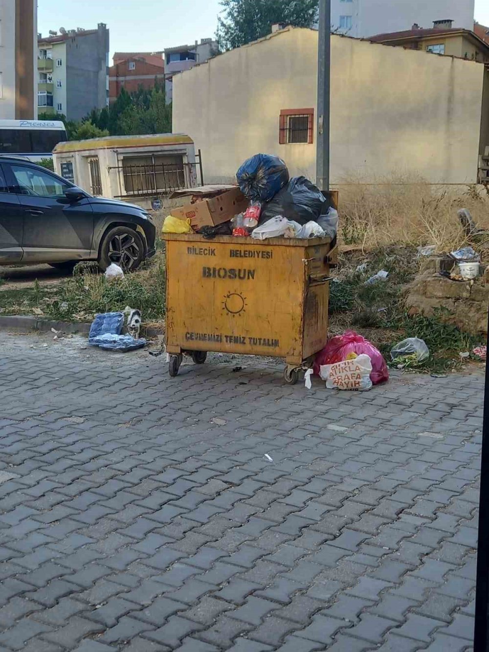 Mahallelerde toplanmayan çöpler endişe kaynağı