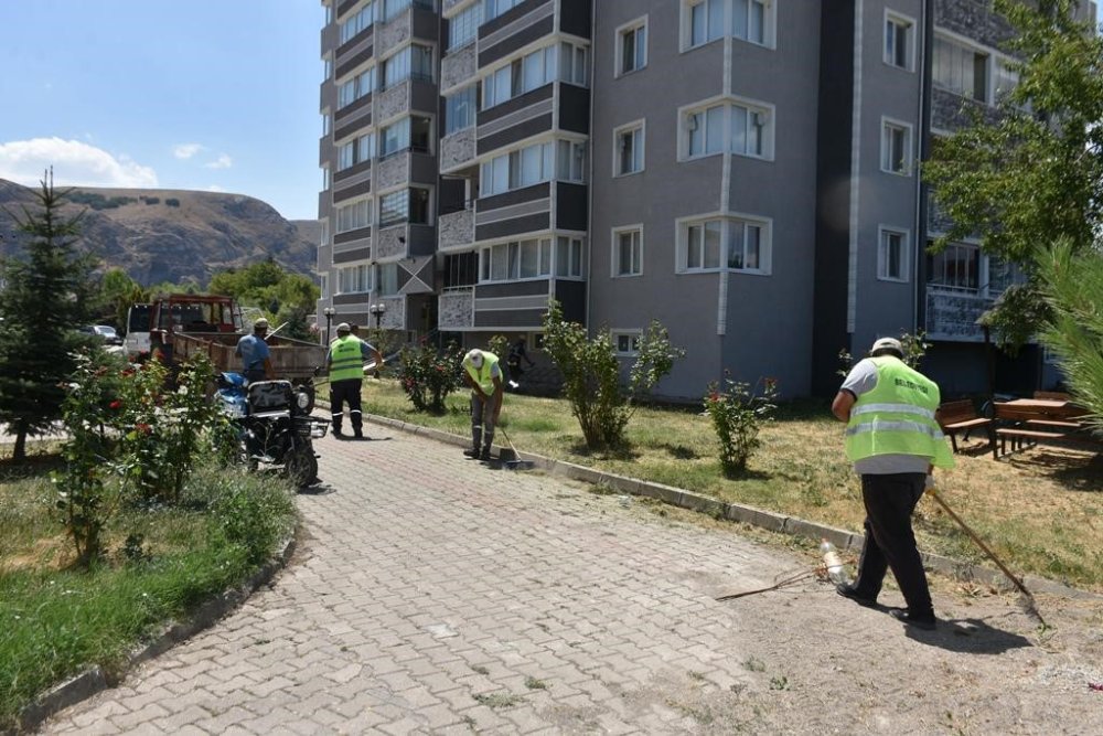 Belediye'den Yoğun Yaz Çalışmaları