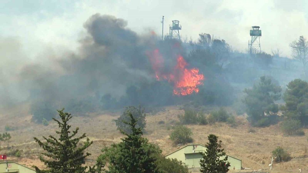 Ormanlık Alanda Korkutan Yangın