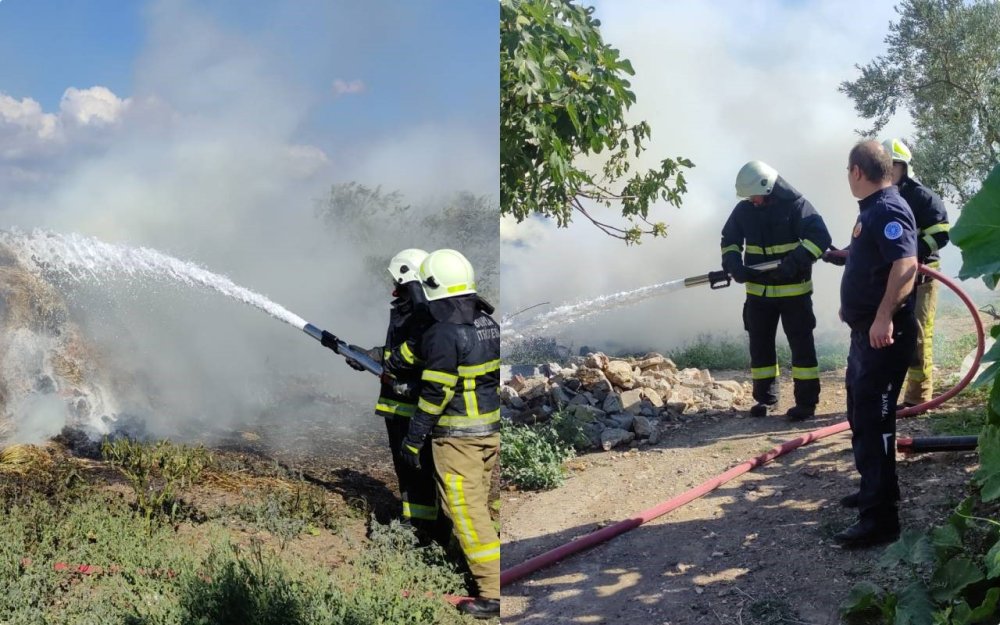 Saman Balyaları Alevlere Teslim Oldu