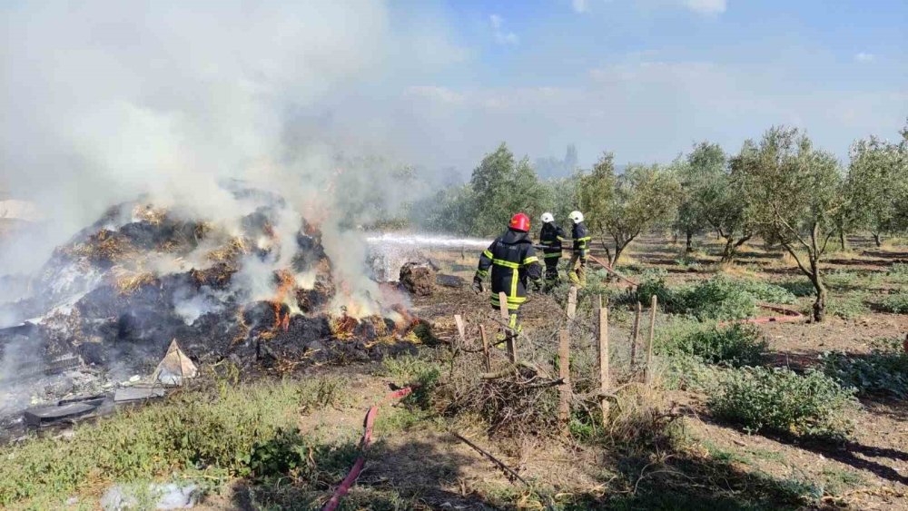 Saman Balyaları Alevlere Teslim Oldu