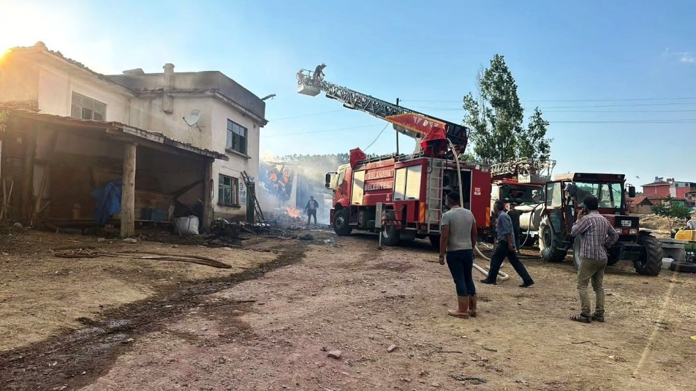 Çıkan Yangında 14 Büyükbaş Hayvan Telef Oldu