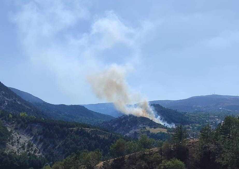 Orman Yangını Korkuttu