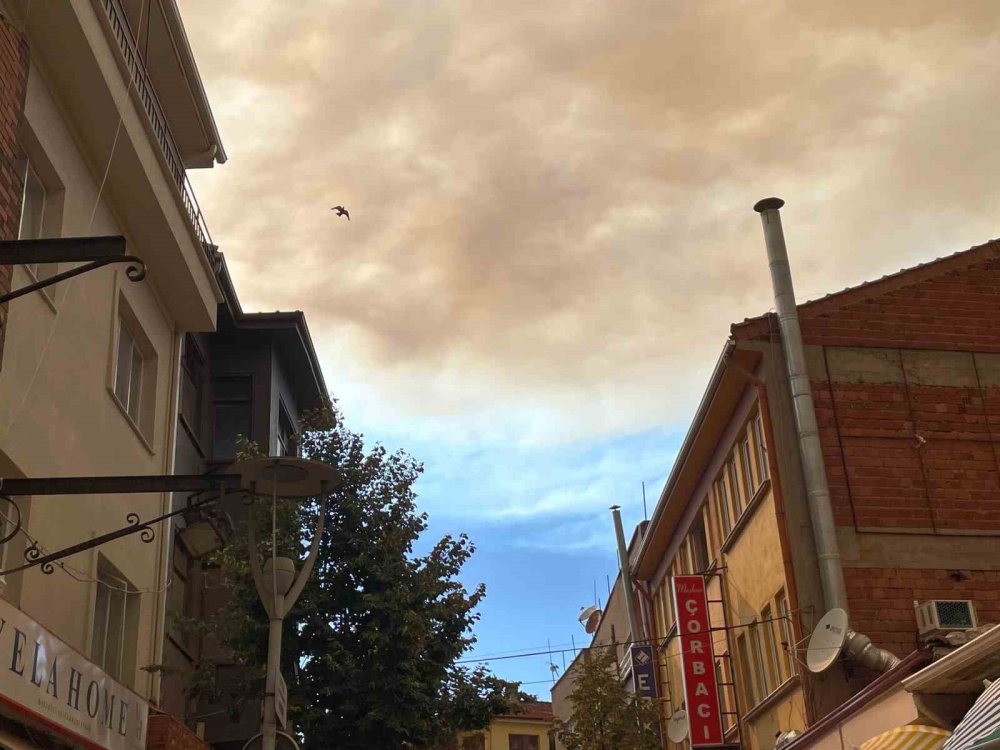 Orman Yangınının Dumanı Kent Merkezi Semalarını Kapladı, Vatandaşlar Panik Yaşadı