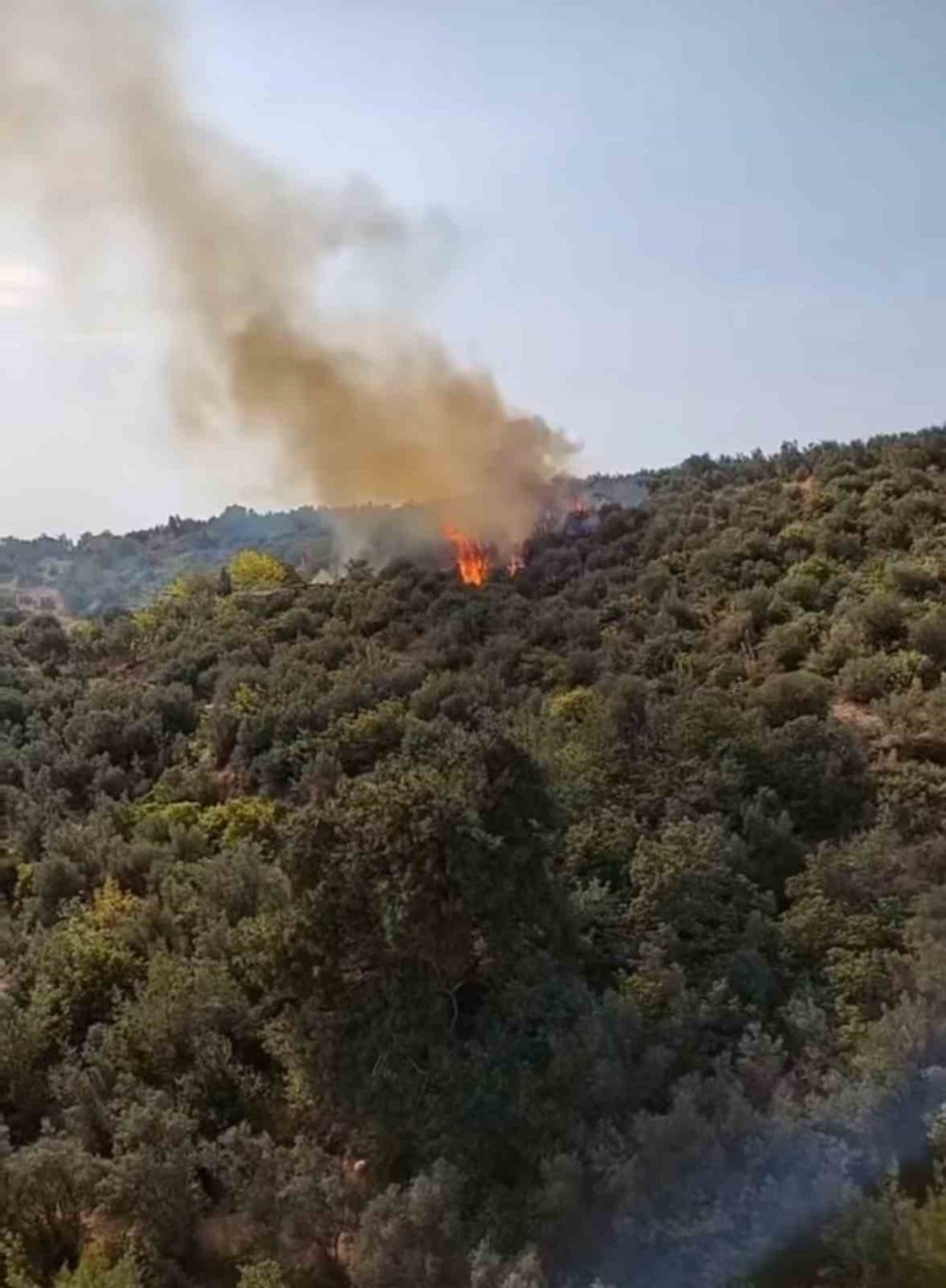 Barakadan Çıkan Yangın Zeytinlik Alana Sıçradı