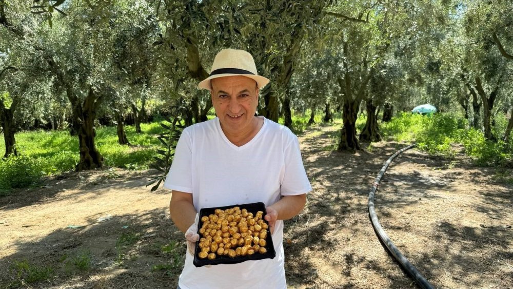 Altın Kaplamalı Zeytin Yok Satıyor