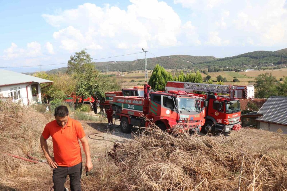 Ahırda Başlayan Yangın Ormanlık Alana Sıçradı