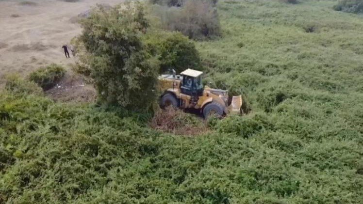 İş Makinesiyle Ağaçlık Alana Girip Dikenlerin Arasından Uyuşturucu Çıkarttılar