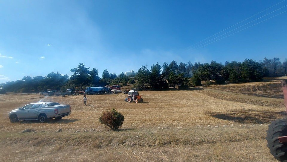 Ormana Sıçrayan Anız Yangını Büyümeden Söndürüldü