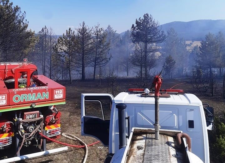 Ormana Sıçrayan Anız Yangını Büyümeden Söndürüldü