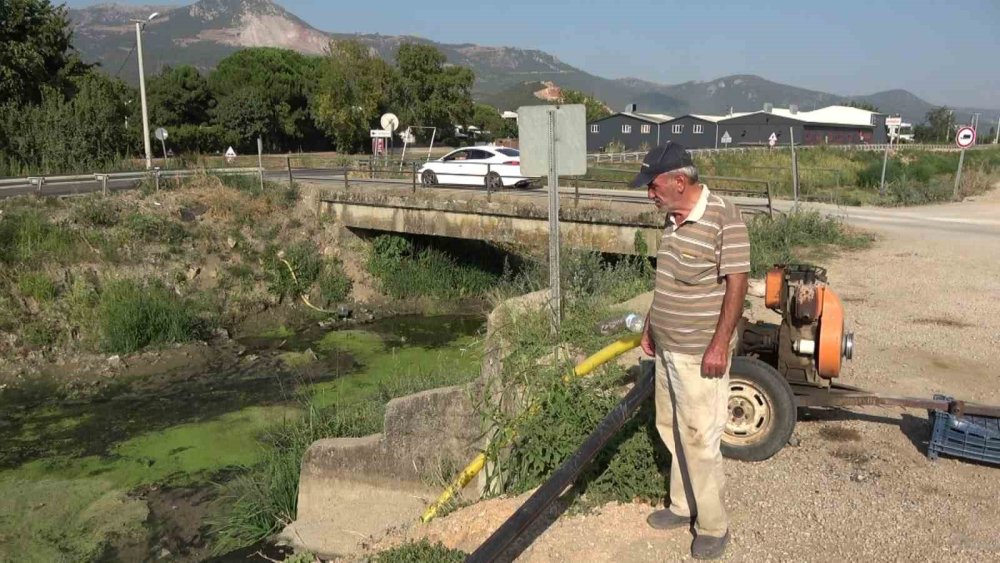 Sulama Kanalları Kurudu, Balık Ölümleri Başladı