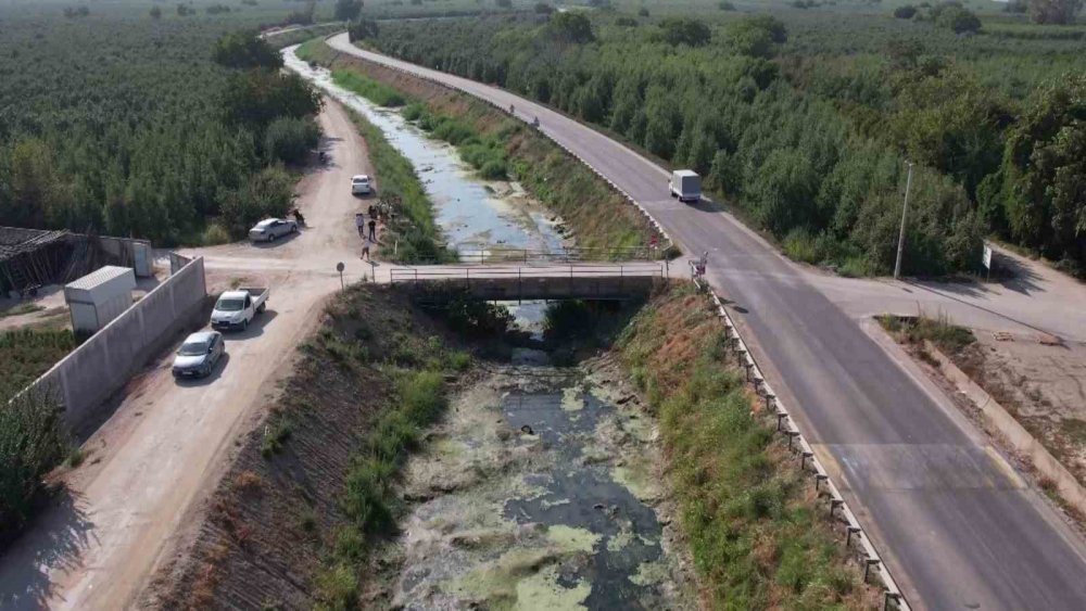 Sulama Kanalları Kurudu, Balık Ölümleri Başladı