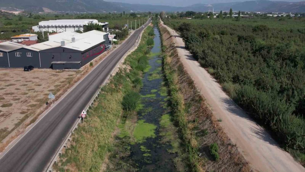 Sulama Kanalları Kurudu, Balık Ölümleri Başladı