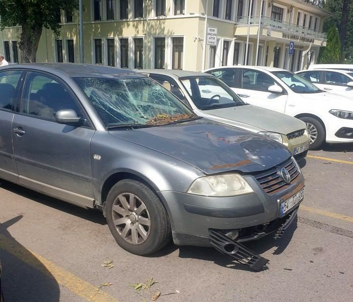 Çürüyen Ağaç Devrildi, 4 Araç Hasar Gördü