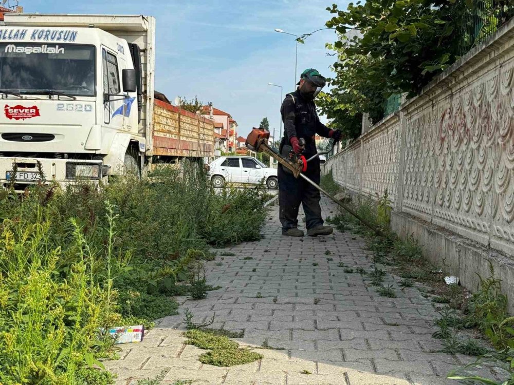 Park Ve Bahçelerde Çalışmalar Sürüyor