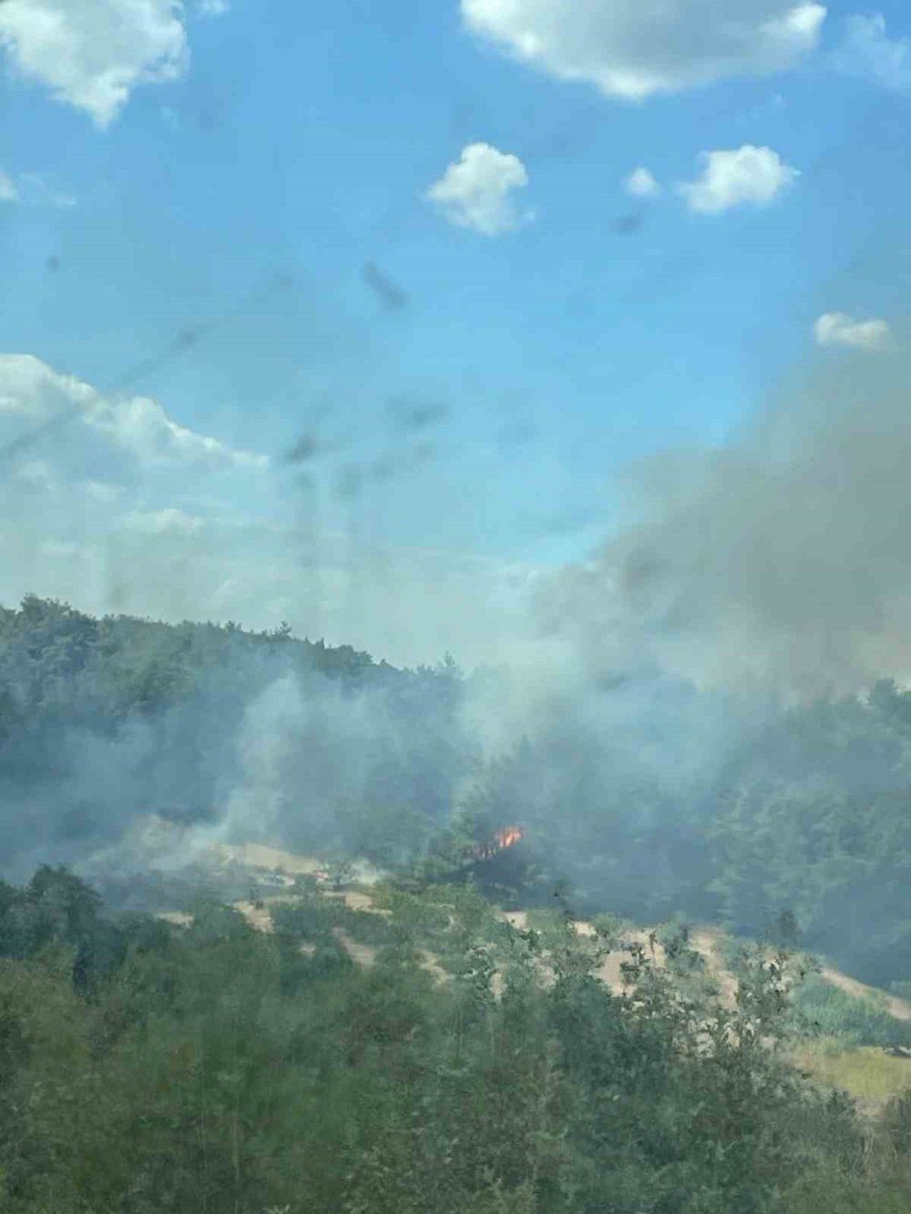 Ormanlık Alanda Korkutan Yangın!