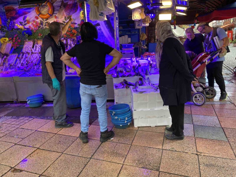 Tanesi 100 Liradan Satılan Palamuda Vatandaşın İlgisi Yoğun