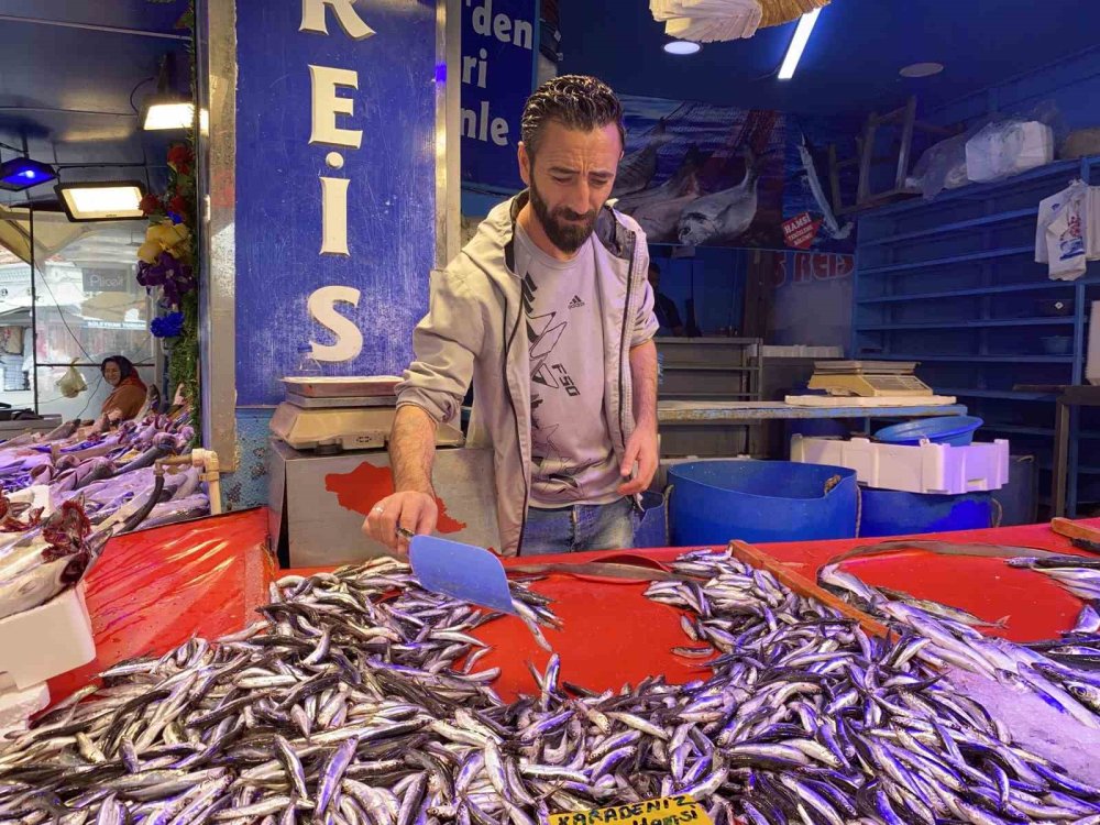 Tanesi 100 Liradan Satılan Palamuda Vatandaşın İlgisi Yoğun