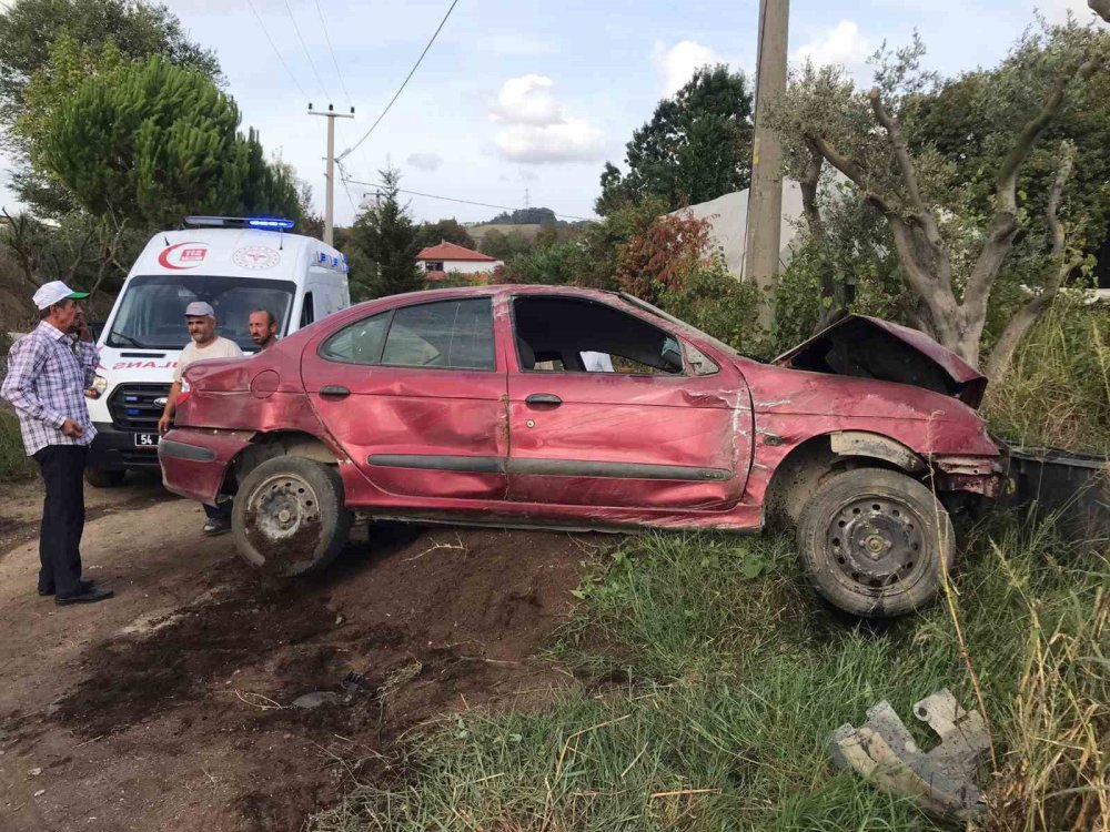 Yoldan Çıkan Araç Fidanlığa Uçtu