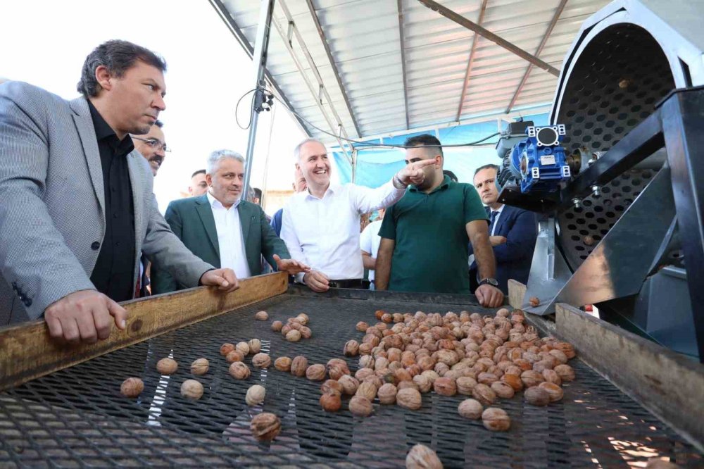 İnegöl’de Hedef 42 Bin Ton Ceviz