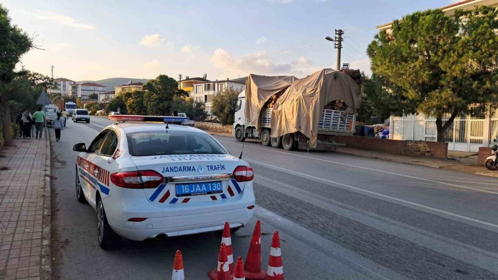 Kamyon Virajı Alamayınca Tomruklar Yola Saçıldı