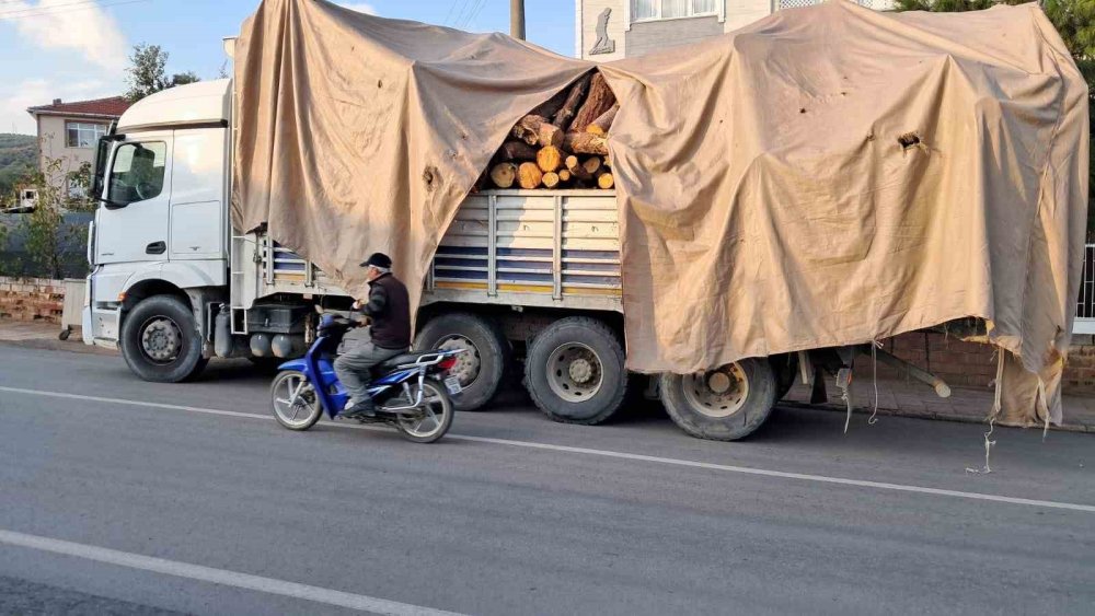 Kamyon Virajı Alamayınca Tomruklar Yola Saçıldı