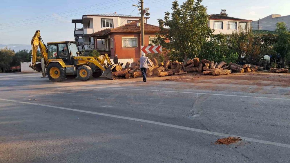 Kamyon Virajı Alamayınca Tomruklar Yola Saçıldı