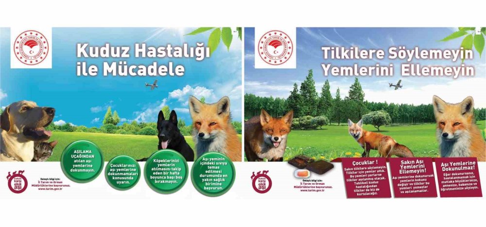 Kuduza Karşı Yaban Hayvanlarını Havadan Aşılama Çalışmaları Devam Ediyor