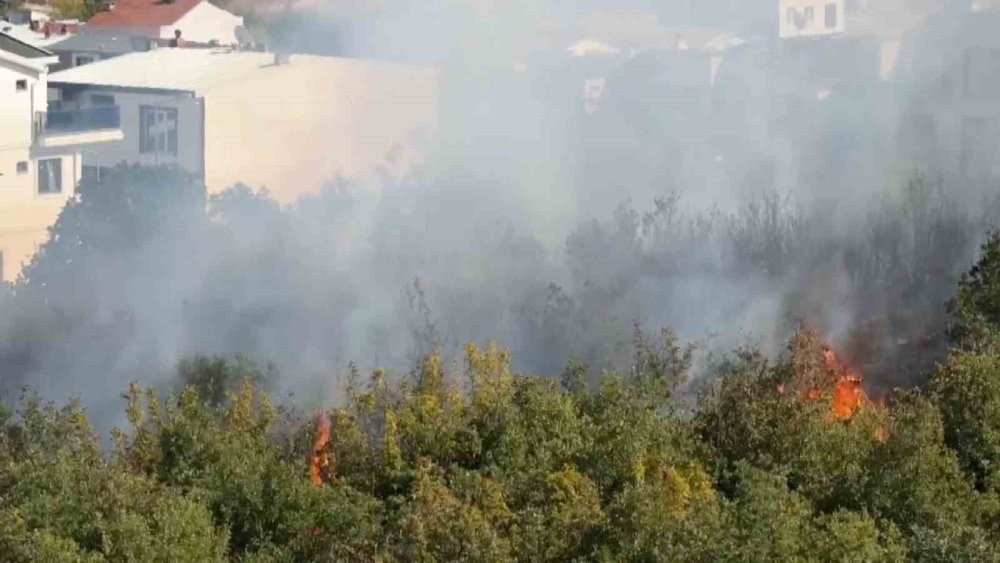 Çocukların Torpille Eğlencesi Yangına Neden Oldu