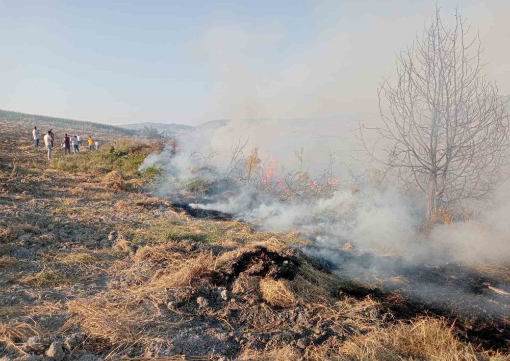 Ormanlık Alanda Çıkan Yangına Havadan Ve Karadan Müdahale Edildi