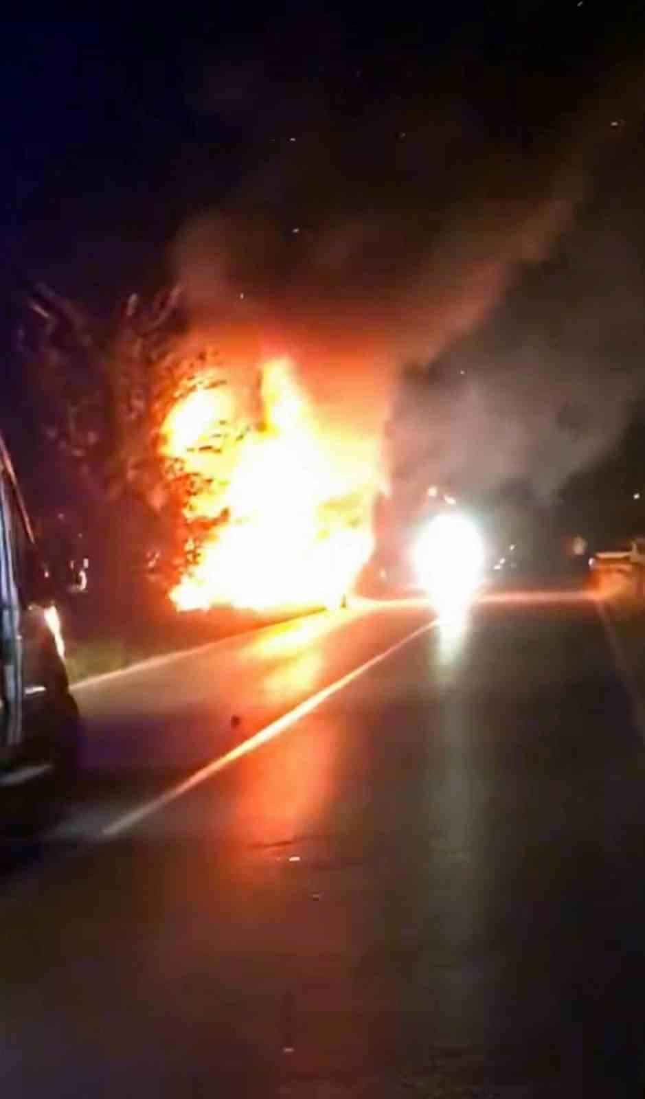 Kontrolden Çıkarak Yol Kenarına Uçan Araç Alev Topuna Döndü: 2 Yaralı