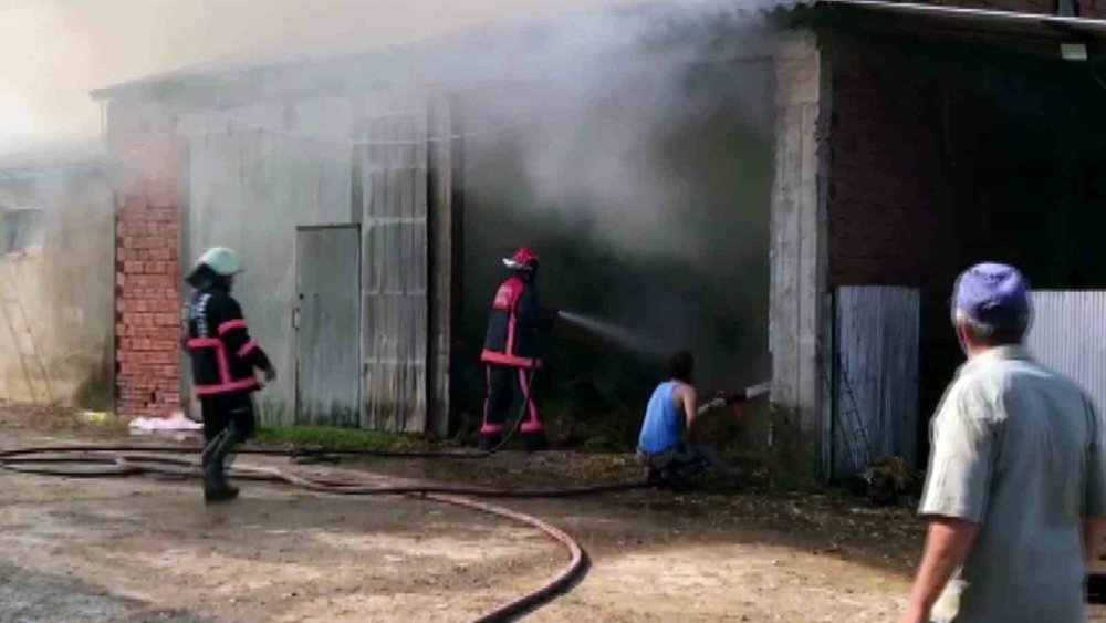 2 Ahır Ve 2 Samanlık Alevlere Teslim Oldu: 1 Yaralı