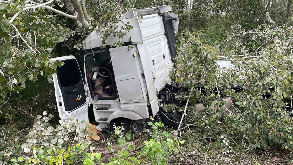 Kontrolden Çıkan Tır, Ağaca Çarparak Durabildi: 1 Yaralı