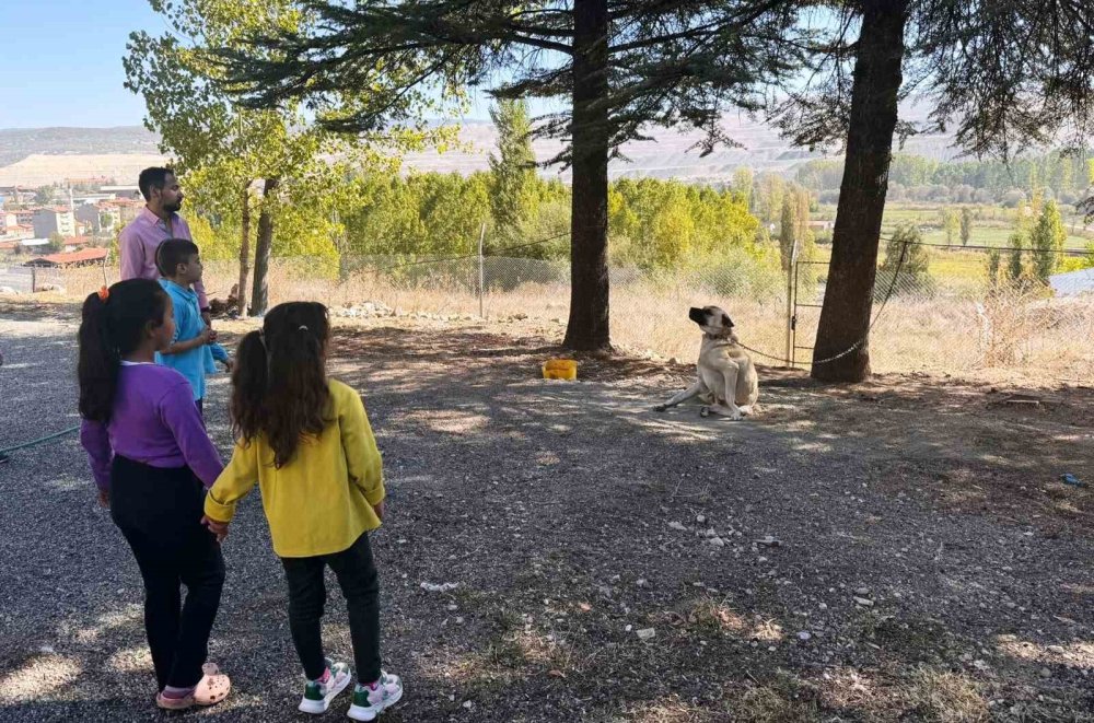 Özel Öğrencilere Hayvanlar Tanıtıldı