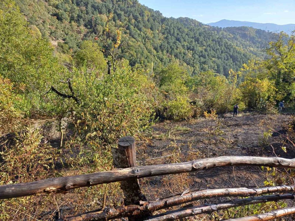 Peş Peşe Yangın Ormanlık Alanda Çıkan Yangına Ekiplerin Müdahalesi Sürüyor